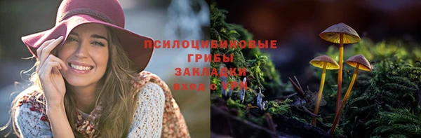 винт Баксан