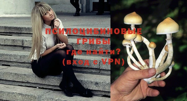 винт Баксан