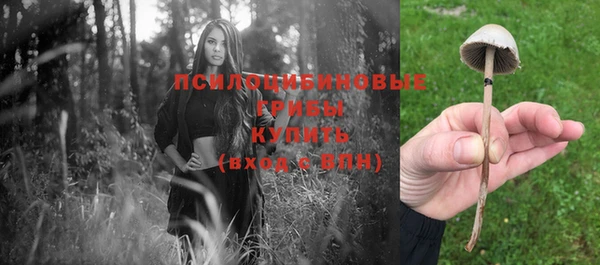 а пвп мука Балахна